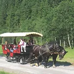 Haus Lowe Filzmoos