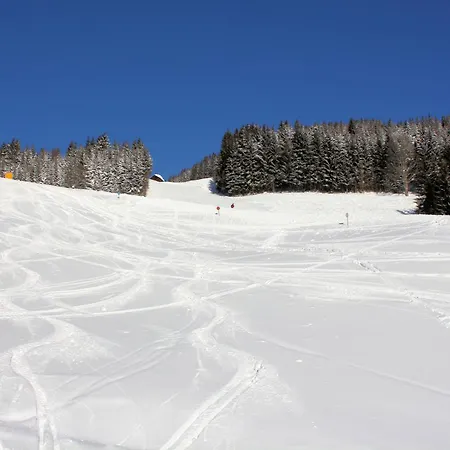 아파트 Haus Lowe 필즈모스
