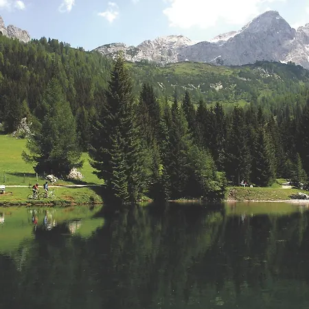 Haus Lowe 필즈모스